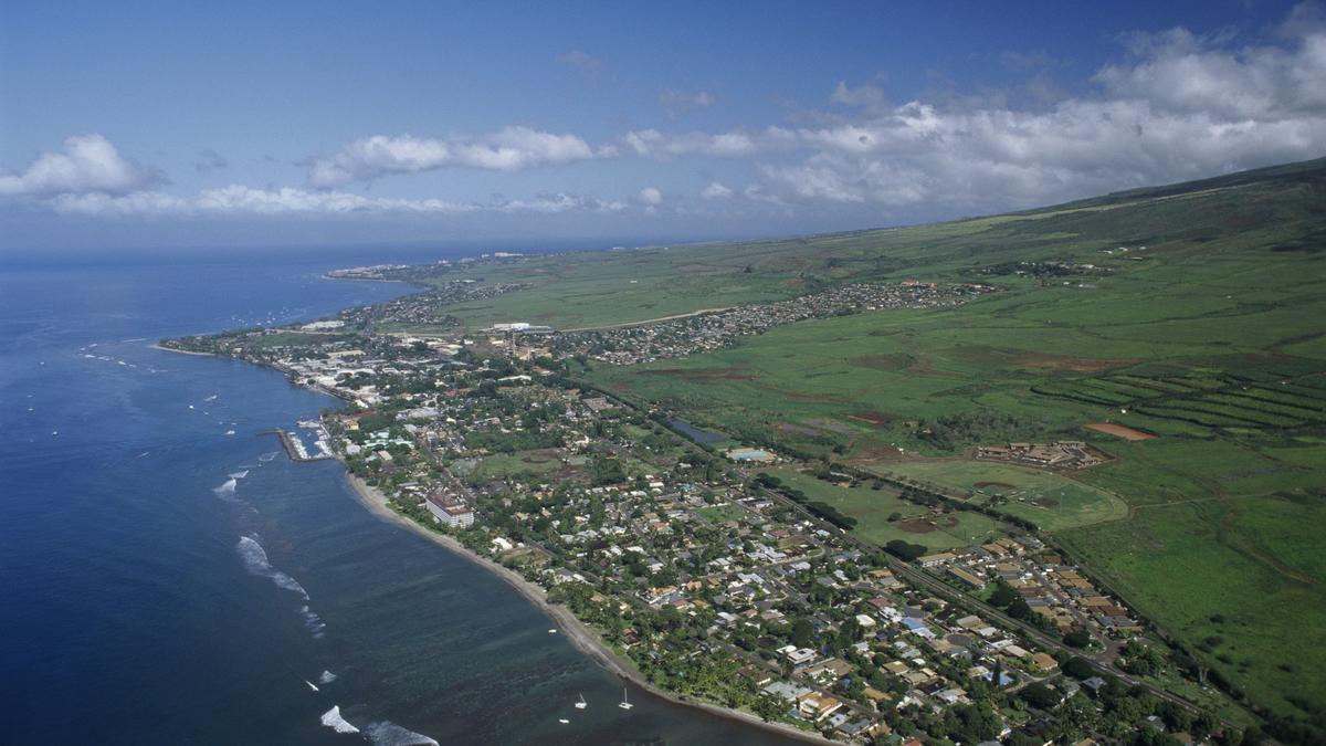 Naked college swimmer killed security guard before fleeing on foot in Maui, police say