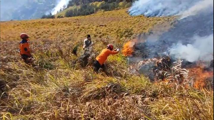 Indonesia Deploys Ground, Aerial Operations to Fight Bromo Forest Fire