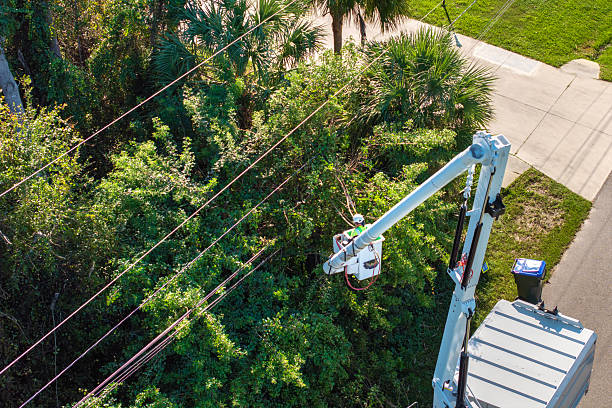 Nashville Adventures Announces Operational Updates and Infrastructure Readiness Following Recent Winter Storm
