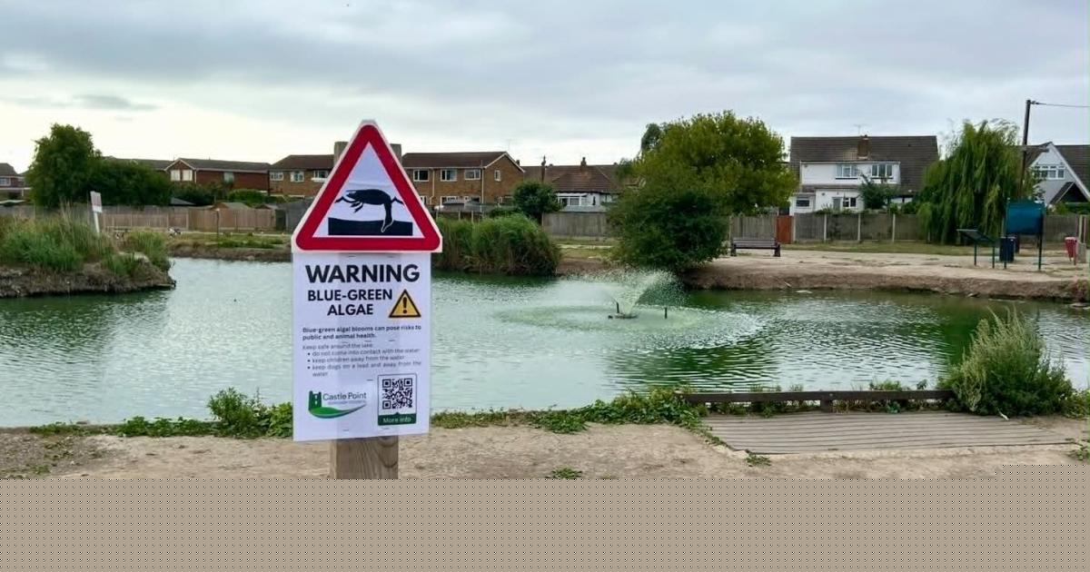 'Don't touch the water' at south Essex lake as 19 animals dead in past 19 days