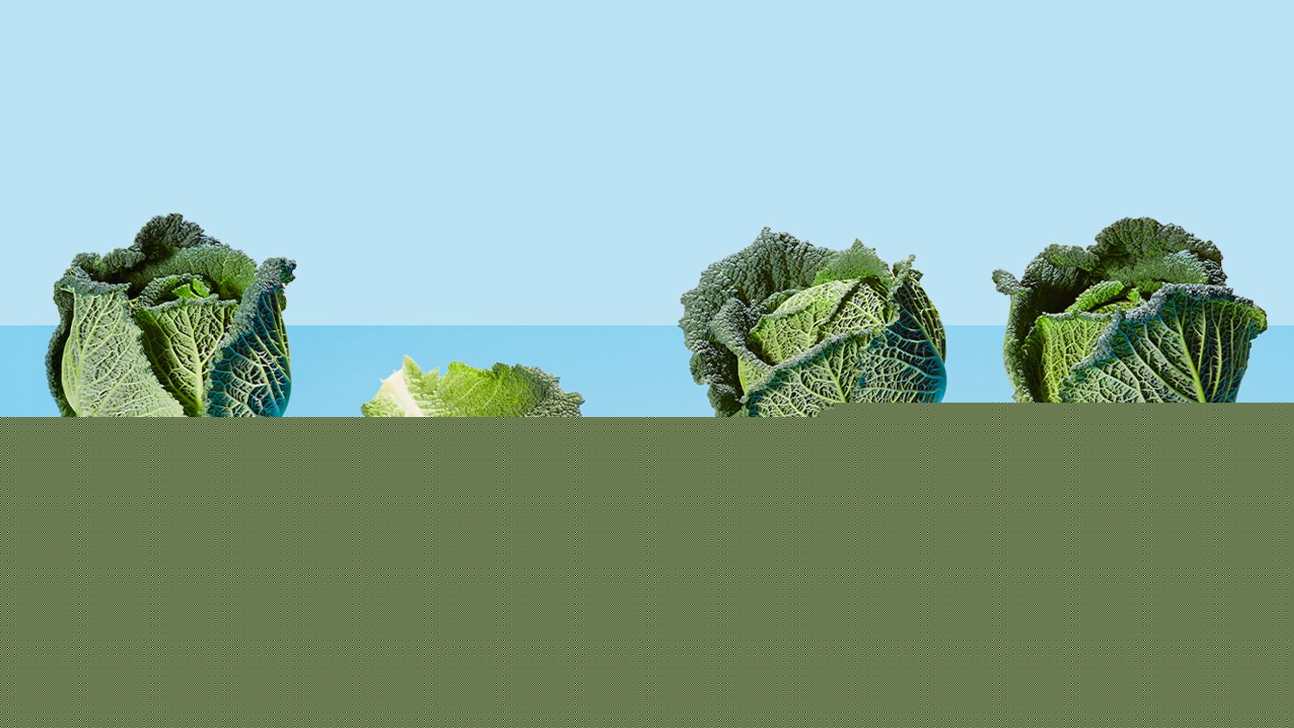 7 Potential Health Benefits of Cabbage