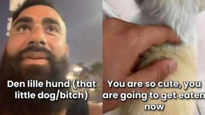 Danish influencer in hot water after videos shows him insulting Thai people