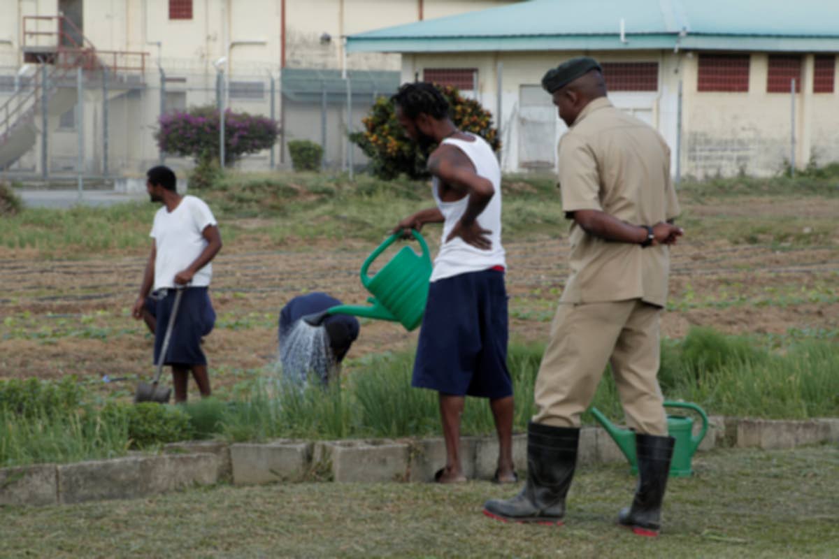 Trade unions seek clarity on prison inmate work plan