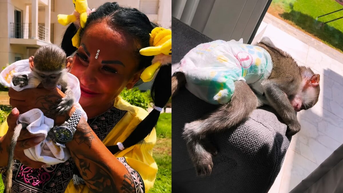 “La tratto come una figlia e resta con me. Le ho pure preso il pupazzo di Topolino”: Rita De Crescenzo mostra la sua scimmia sui social e scoppia la polemica