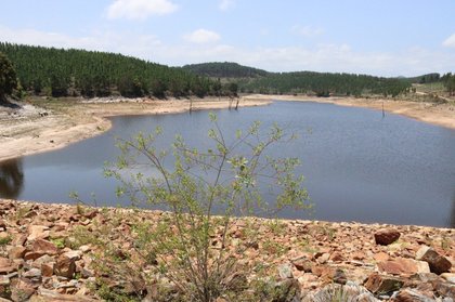 Knysna Faces Deepening Water Crisis as Businesses Mobilise to Avert ‘Day Zero’