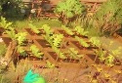Cozy Farm Life Palworld: Palfarm Announced for PC