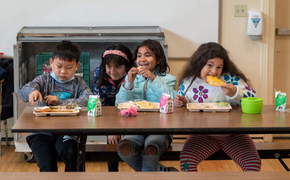Some Schools Stop Free Meals for All as SNAP Enrollment Falls