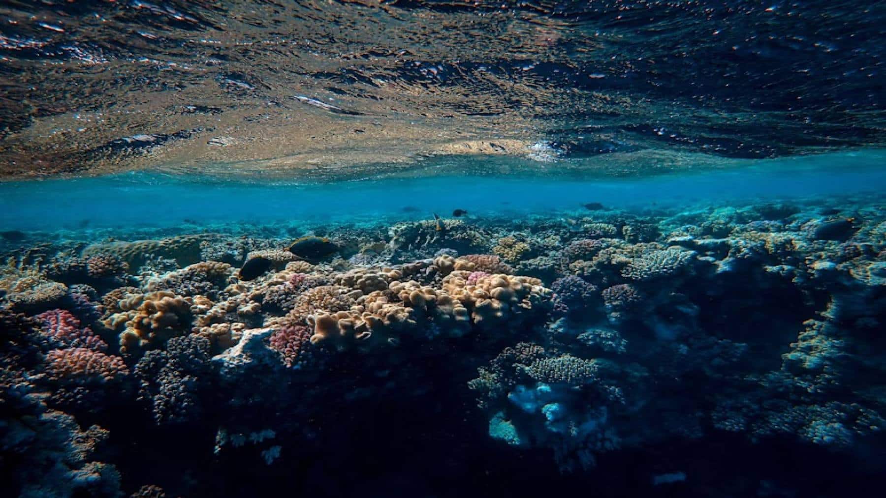 Siete de los nueve límites planetarios han sido sobrepasados: La tierra se dirige al punto de no retorno
