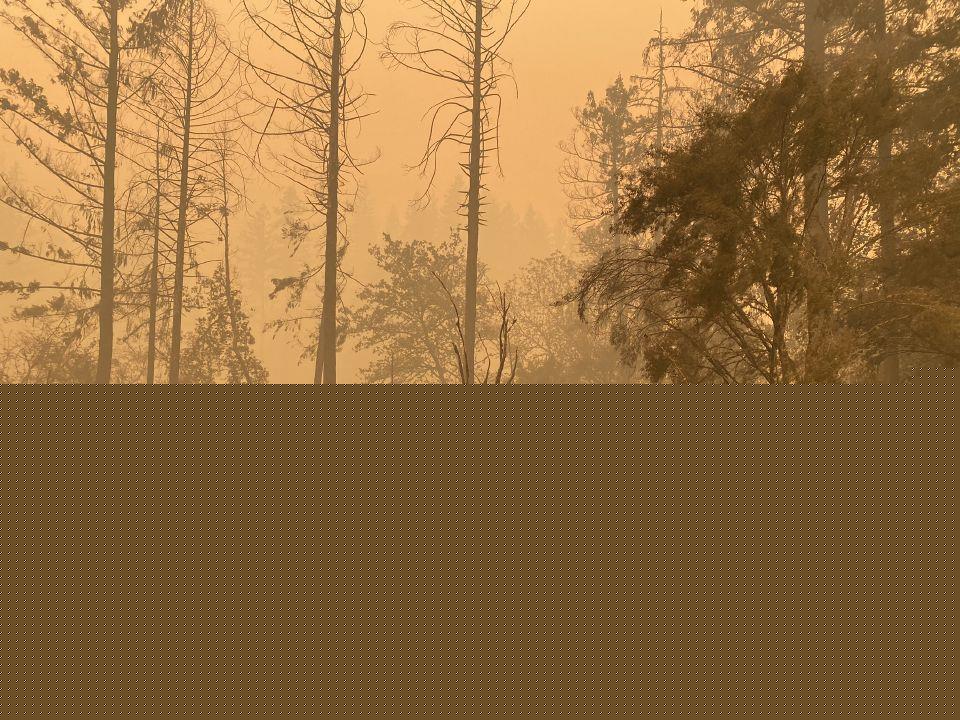 Sen. Wyden’s wildfire tax relief bill passes just before Congress recesses, goes to White House