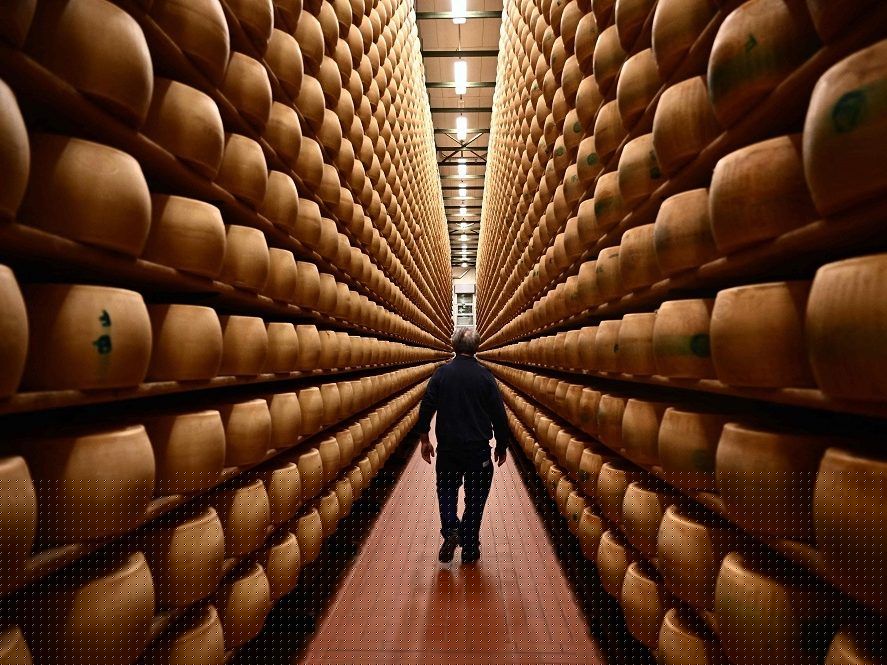 Summer heat threatens Italy’s billion-dollar cheese economy