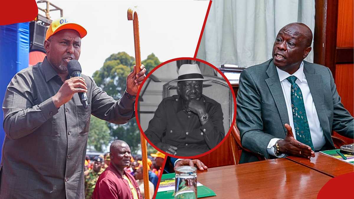Junet Mohamed alleges Rigathi Gachagua plotted Late Raila Odinga's assassination during Azimio demos