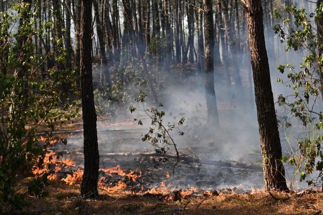 France battles wildfire 4 times the size of Paris as soaring heat threatens new surge (World)