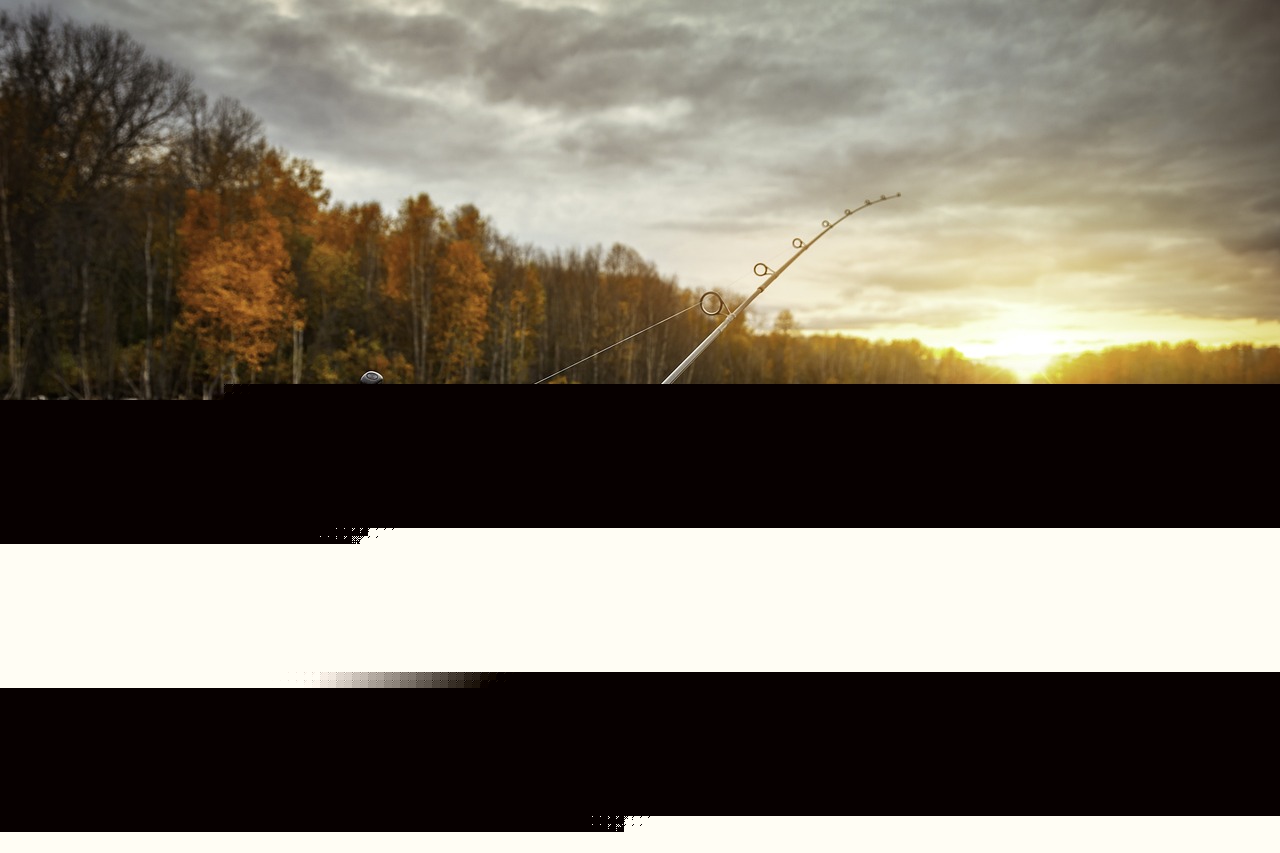 Bait, Baking & Bands