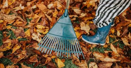 Gardeners urged to save fallen leaves for one simple task before September ends