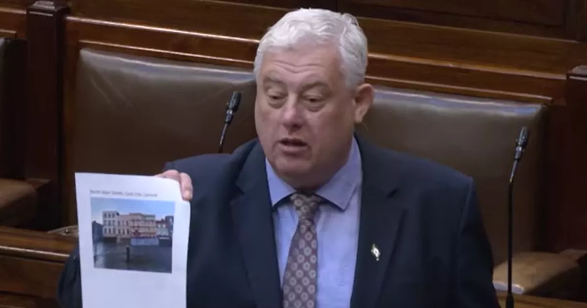 'Come to Cork and I'll show you dereliction and vacancy,' TD tells Housing Minister