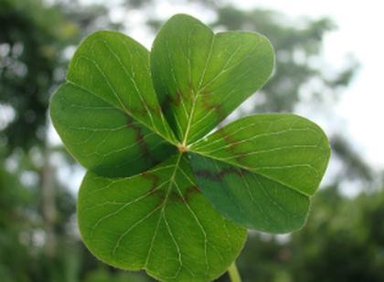 Here are more interesting facts about St. Patrick's Day few people know