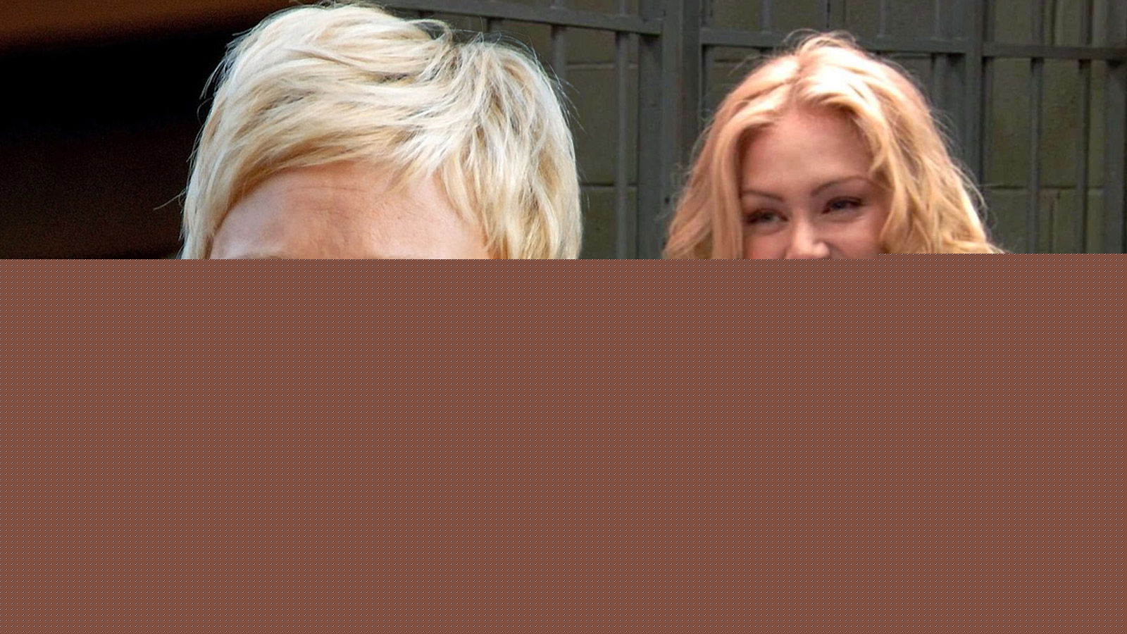 Fact Check: Was Ellen DeGeneres-Portia de Rossi Divorce News Ever Real?