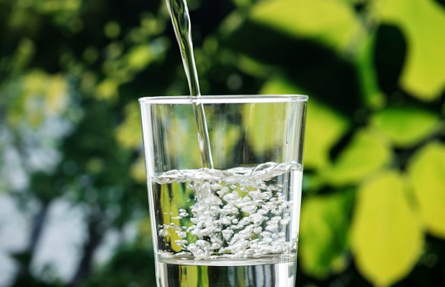Are Prebiotic Sodas Really Healthy? New Research Challenges the Hype