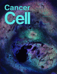 Comment on Cancer Cell paper under investigation following anonymous queries on PubPeer by Meme