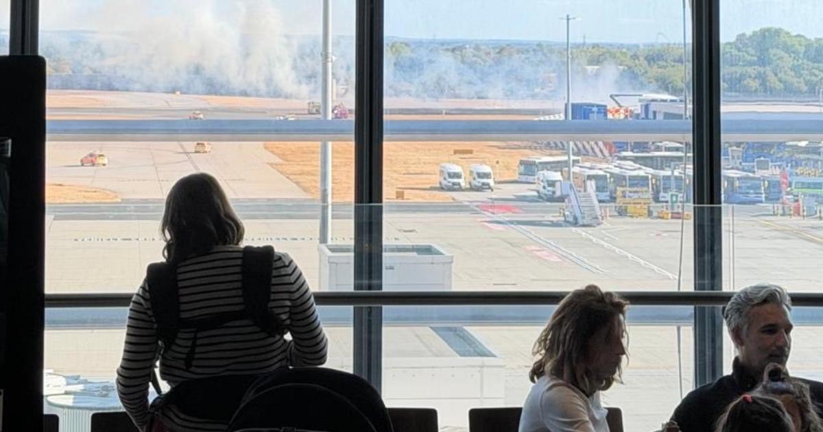 Blaze destroys one hectare of grass next to Heathrow runway - with flights delayed