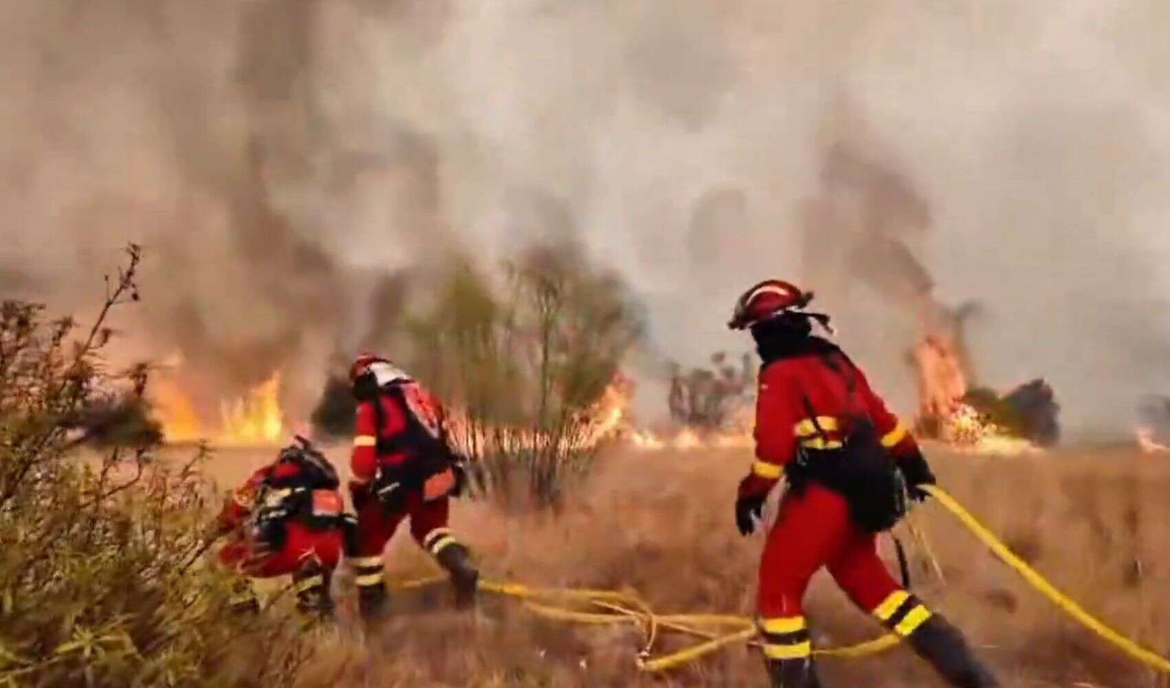 España supera las 226.000 hectáreas quemadas por los incendios, un 38% más que en 2025