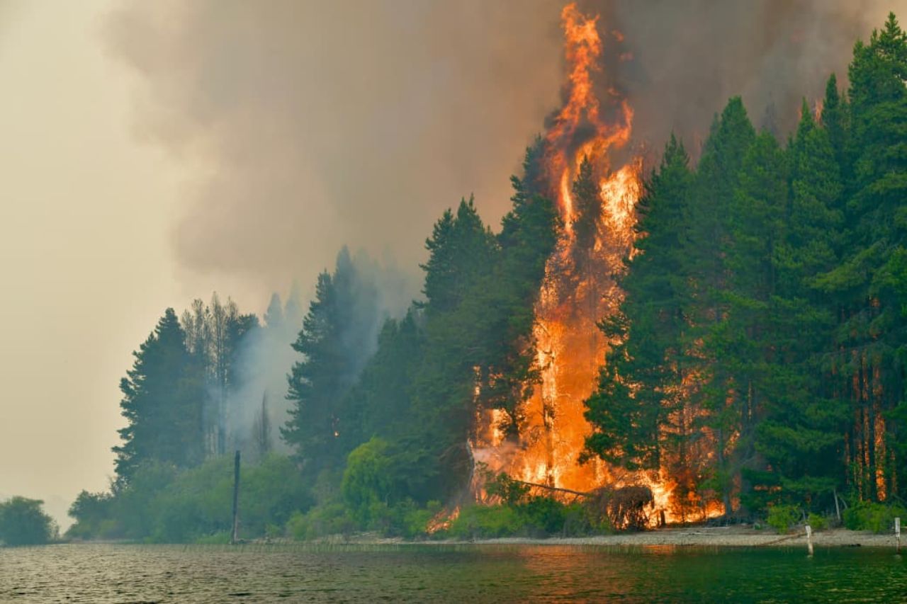 Patagonia governors ask Milei to declare emergency as wildfires continue to rage