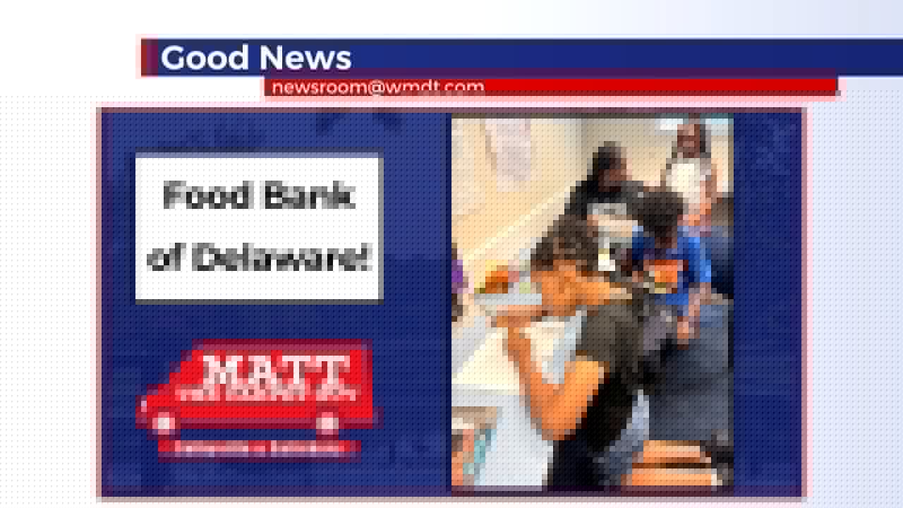 DSU, Food Bank of DE Partner to Host Capital Park Camp