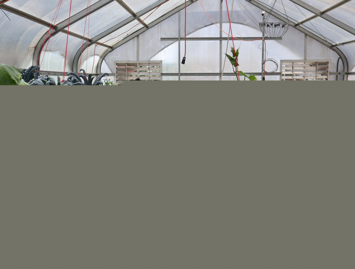 Hydroponic Greenhouses on the Navajo Nation Grow Food With a Fraction of the Water Usually Needed