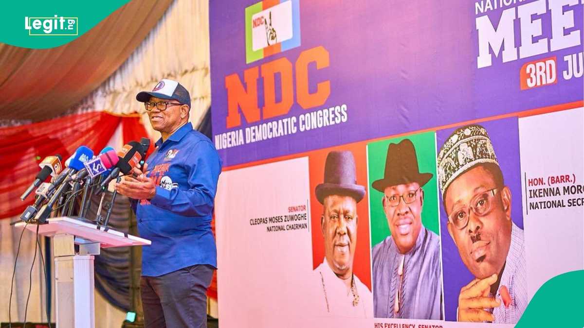 Professors are aiding illiterates to rig election in Nigeria, Peter Obi alleges
