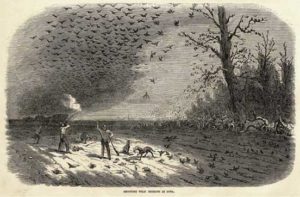 Of Ghost Foods and Culinary Extinction
