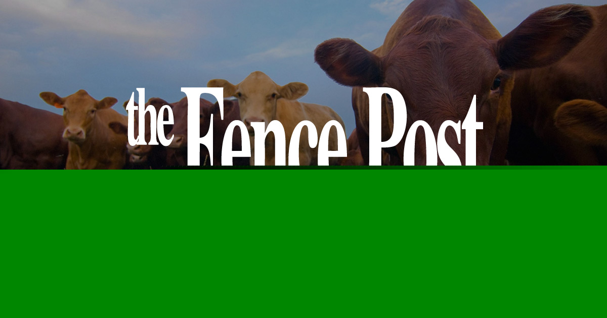 FAO releases plan to address transboundary animal diseases