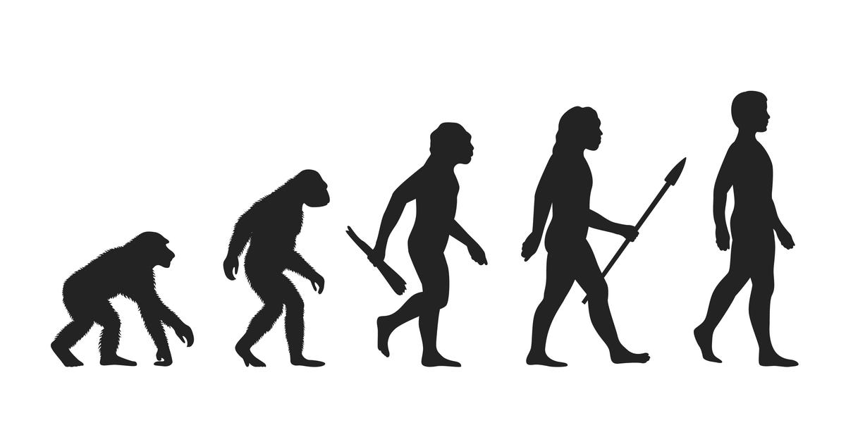 For Eons, Human Evolution Barely Budged—Then It Exploded. Now Scientists Know Why.