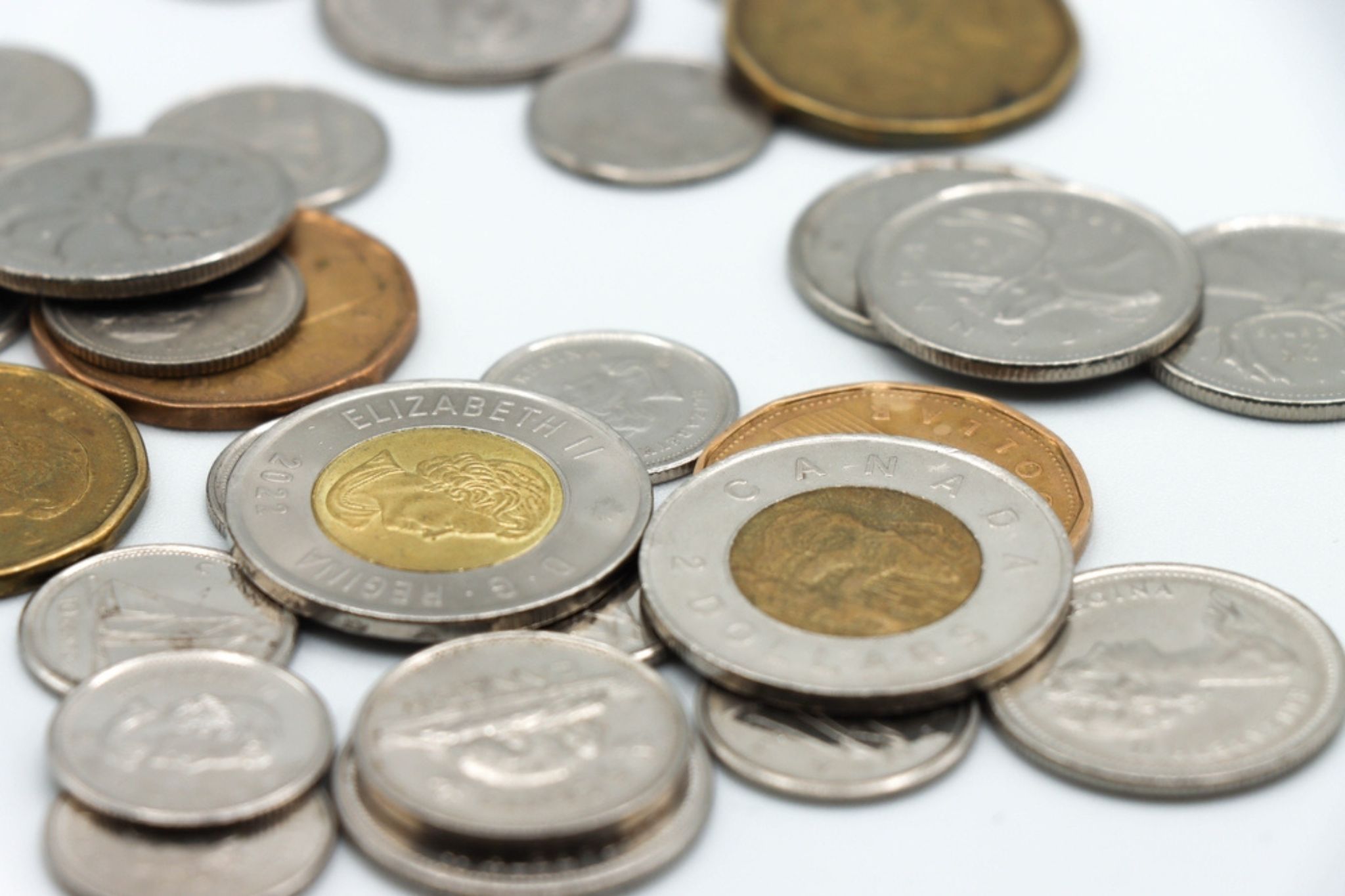 Canada has a mesmerizing new 3D coin of the country's national animal