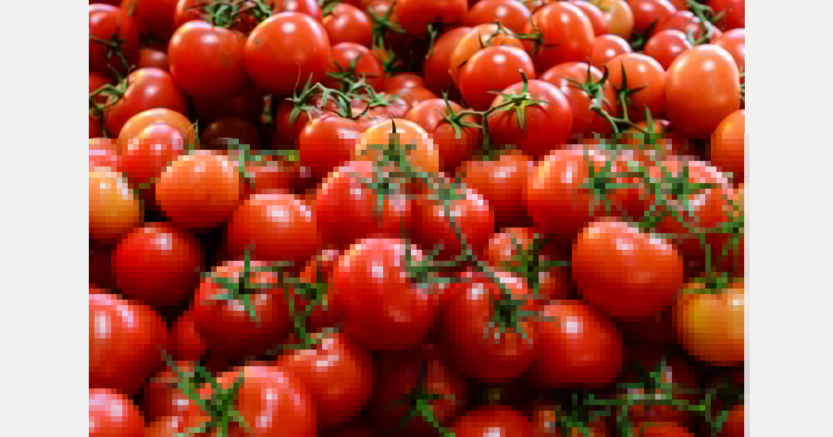 Kyrgyzstan increases tomato imports from Turkmenistan by 15%