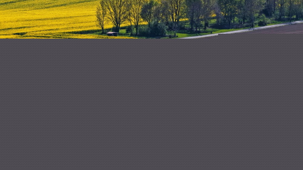 Europe-LAND brings science and collaboration to the European land-use field