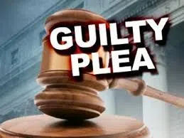 TWO ENTER GUILTY PLEAS IN WAYNE COUNTY CIRCUIT COURT