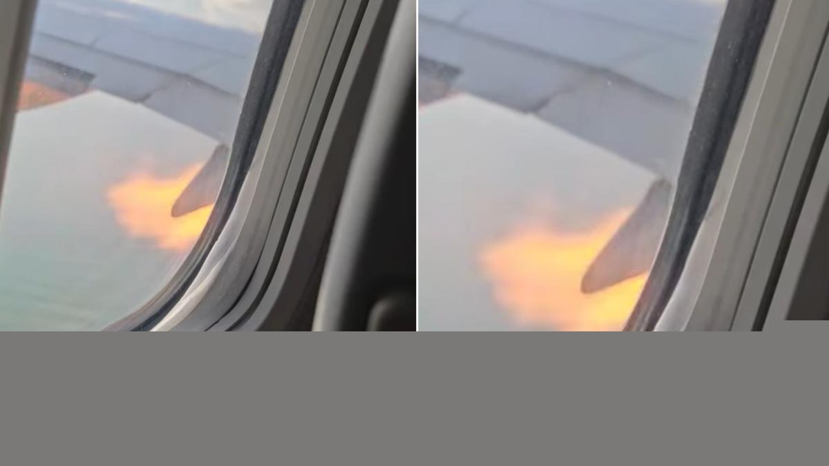 American Airlines flight strikes birds as flames shoot from engine after take-off in South Carolina