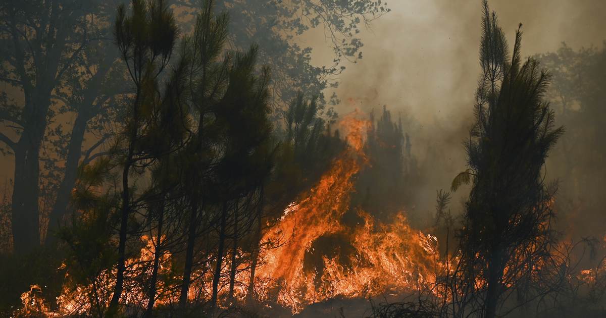 Stop Blaming the Climate for Wildfires We Can Prevent