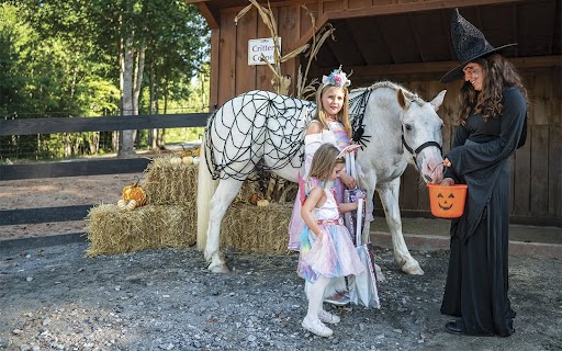 Registration open for Red Bell Run’s Boo & Bray Fun Run