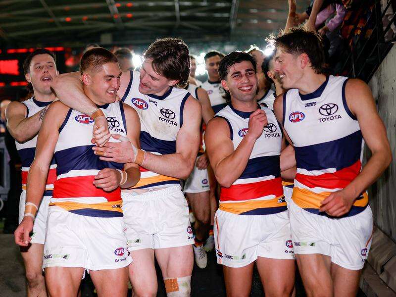 'Haven't hit our best': Crows coach ahead of finals