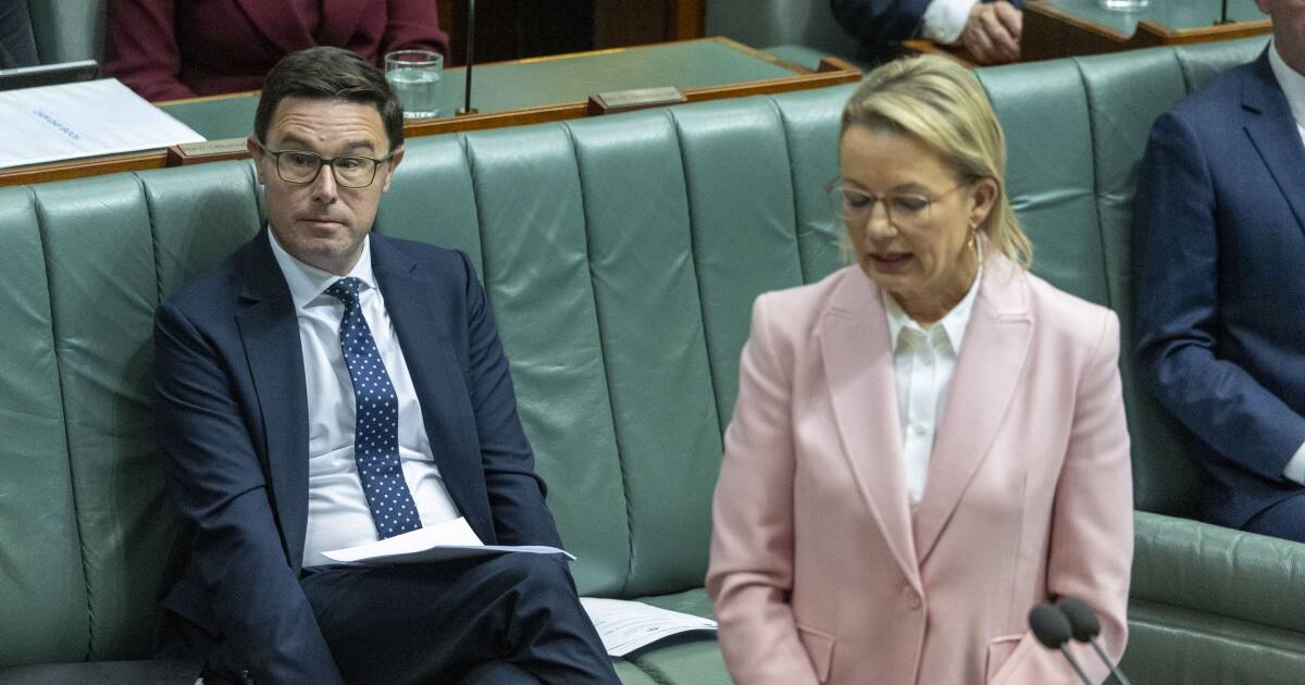 Nats staffers in limbo as messy Coalition split drags on, challenger emerges