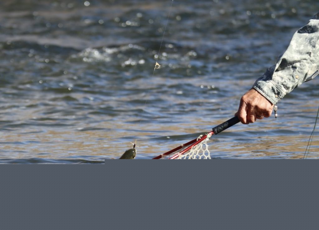 Colorado Parks and Wildlife asks anglers to limit fishing amid warm water temperatures, drought