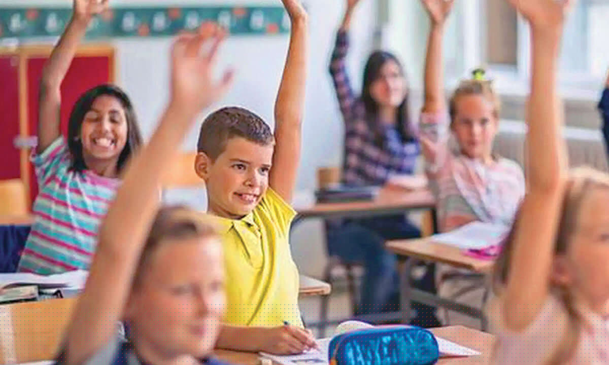 Curriculum choices for students: Building skills, confidence and a future