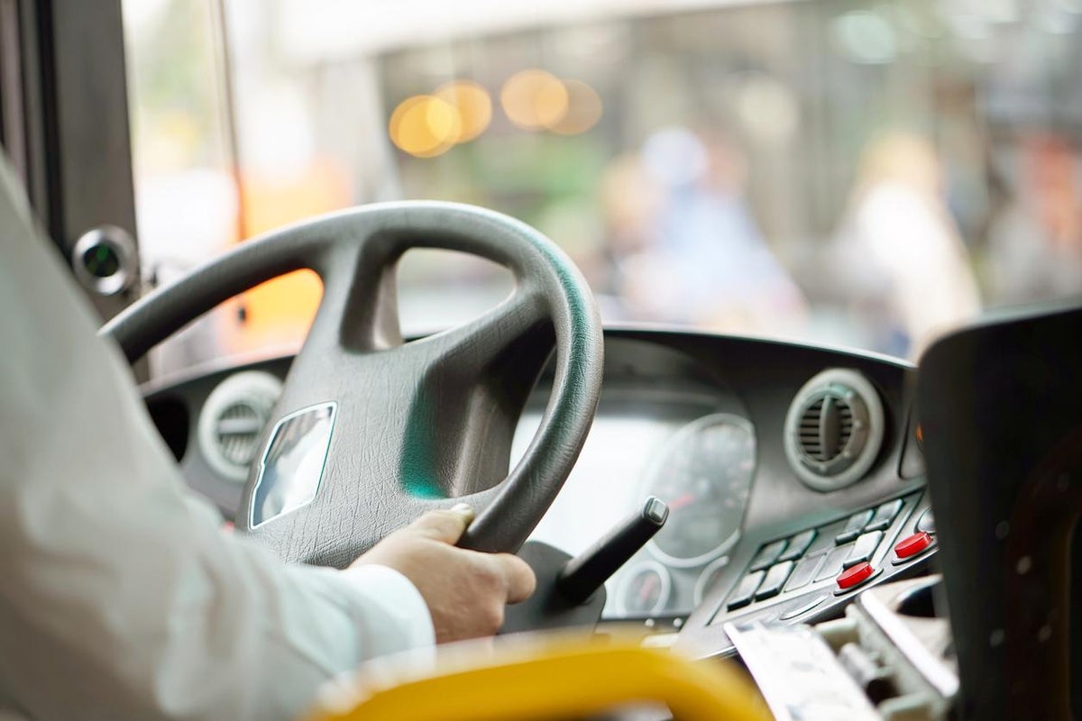 ‘Hero’ bus driver sacked after chasing down thief who stole passenger’s necklace