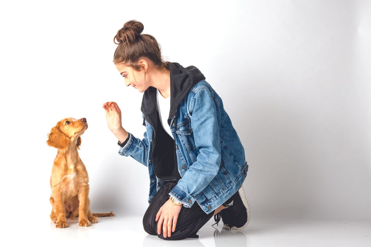 Ask The Trainer: Denise Mazzola Shares Advice on Aggressive Dogs, Puppy Biting and Summer Pet Safety