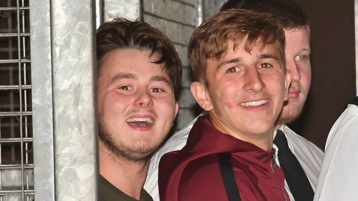 Police officer who put PC Andrew Harper's killers away is 'appalled' that Andy Burnham is letting them be released early