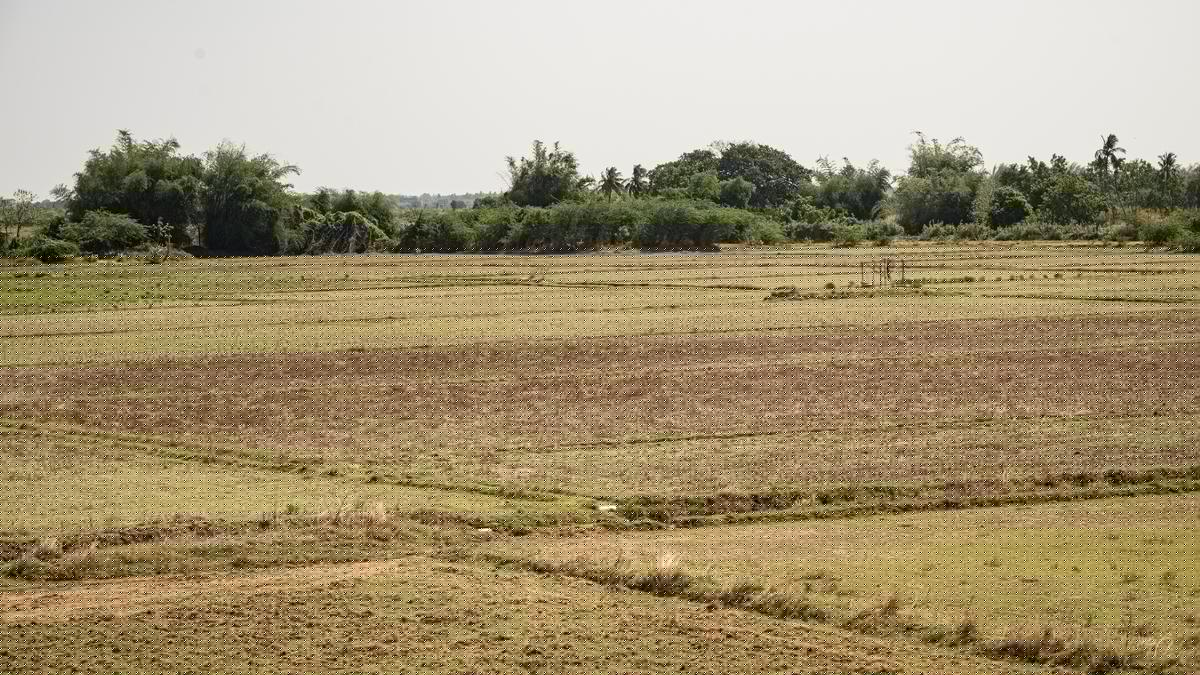 DMK to stage protest in Thanjavur on August 3 over Cauvery, farmers’ issues