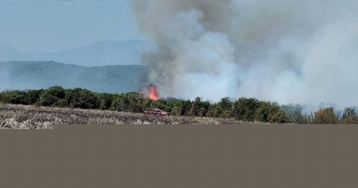 Πυρκαγιά στην Βροντού Πιερίας (Photos)