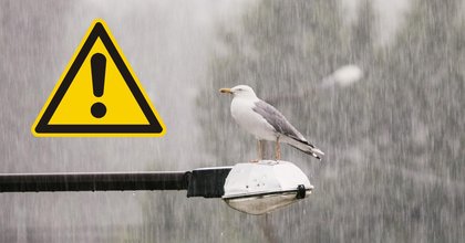 Met Office issues yellow warning for heavy rain affecting Taunton