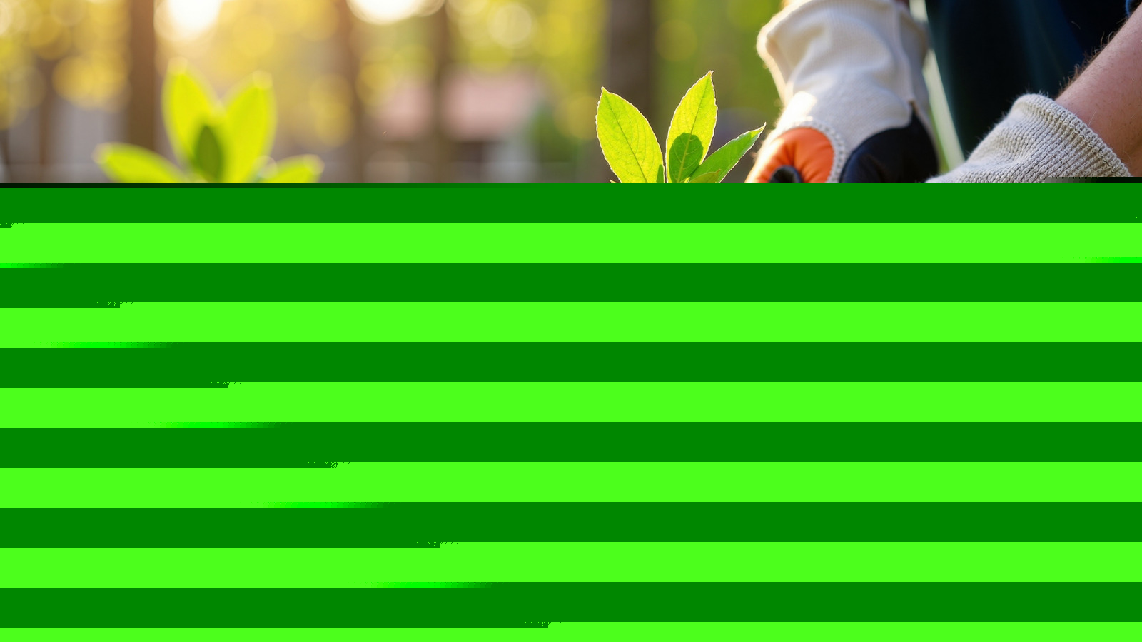8 Fruits You Should Grow From Cuttings For A Thriving Harvest